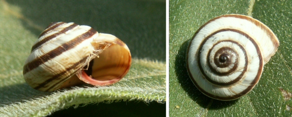 &copy; Thijs de Boer